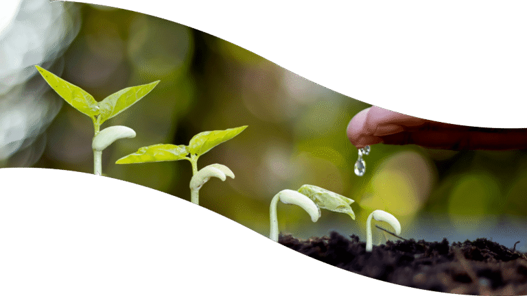 podatny grunt do zmiany