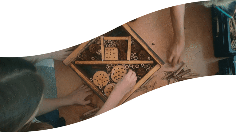 Domki dla Zapylaczy na terenie miasta Łodzi